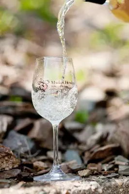 Getränke in der Unterkunft Wein- und Sektgut Markus Hensler