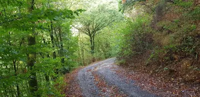 Naturlandschaft in der Nähe des Ferienhauses