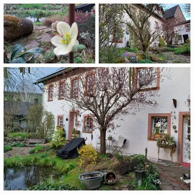 Ein Garten an der Unterkunft Ferienwohnung Zum Jehöschnis