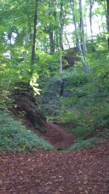 Naturlandschaft in der Nähe der Ferienwohnung