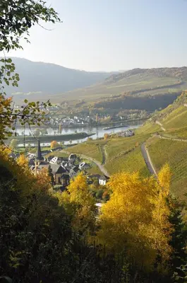 Naturlandschaft in der Nähe der Ferienwohnung