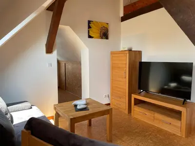 TV/Unterhaltungsangebot in der Unterkunft Ferienhaus Beller Gehaichnis