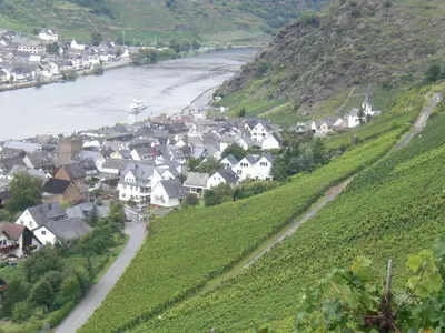 Naturlandschaft in der Nähe der Ferienwohnung