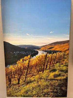 Naturlandschaft in der Nähe des Ferienhauses