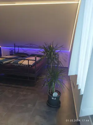 Ein Bett oder Betten in einem Zimmer der Unterkunft Ferienwohnung Jessica