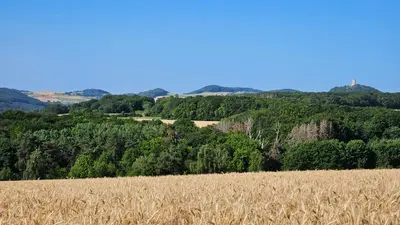 Naturlandschaft in der Nähe der Ferienwohnung