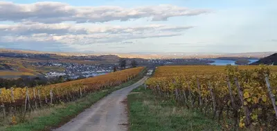 Naturlandschaft in der Nähe der Ferienwohnung