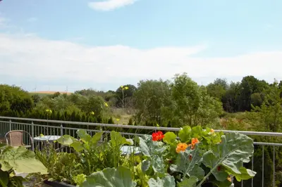 Ein Garten an der Unterkunft Zum süßen Stollen