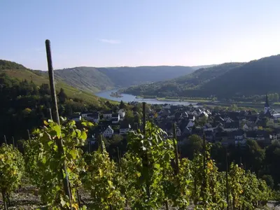 Naturlandschaft in der Nähe der Ferienwohnung