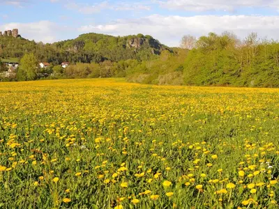 Naturlandschaft in der Nähe des Chalets