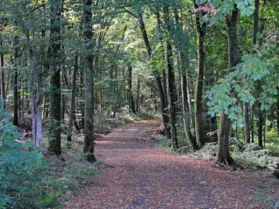 Naturlandschaft in der Nähe des Ferienhauses