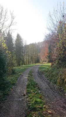 Naturlandschaft in der Nähe der Ferienwohnung