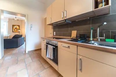 Küche/Küchenzeile in der Unterkunft Stylish Apartment by the Rhine River