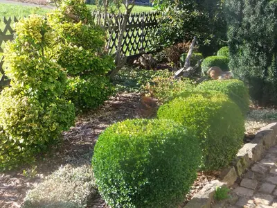 Ein Garten an der Unterkunft Ferienwohnung Hochwald
