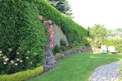 Ein Garten an der Unterkunft Ferienwohnung Stölben