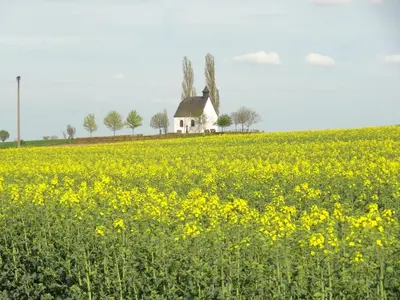 Eine Sehenswürdigkeit in der Nähe von der Ferienwohnung