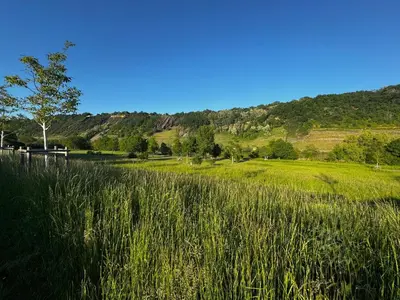 Naturlandschaft in der Nähe der Ferienwohnung