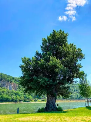 Naturlandschaft in der Nähe der Ferienwohnung