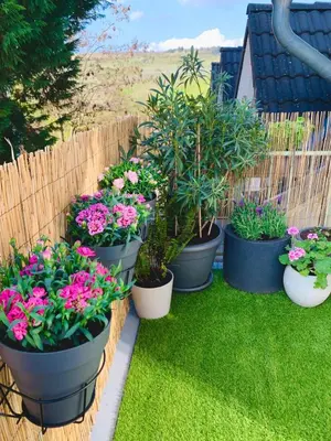 Ein Garten an der Unterkunft Pinterest auf dem Dorf - Ferienwohnung