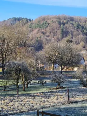 Naturlandschaft in der Nähe der Ferienwohnung