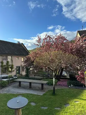 Ein Garten an der Unterkunft FeWo Kirschblüte