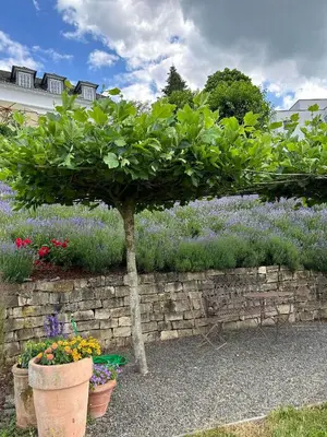 Ein Garten an der Unterkunft Ferienwohnung 