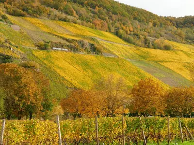 Naturlandschaft in der Nähe der Ferienwohnung
