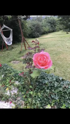 Ein Garten an der Unterkunft Aussichtszimmer mit modernem Glasbad und Balkon