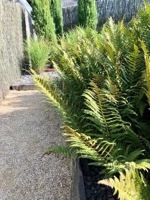 Ein Garten an der Unterkunft Ferienhaus Eifel-Auszeit