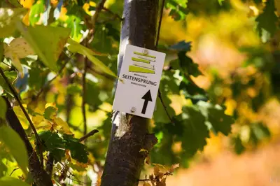 Ein Garten an der Unterkunft Wein- und Gästehaus Lentes