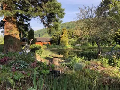 Ein Garten an der Unterkunft Ferienwohnung Herding