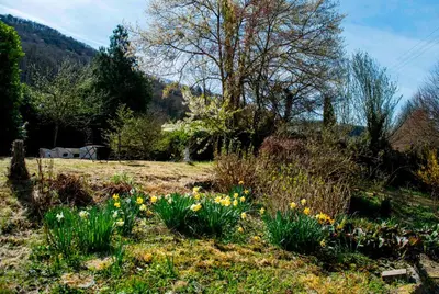 Grundriss der Unterkunft Boutique Apartments in Villa direkt an der Mosel