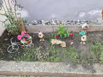 Ein Garten an der Unterkunft Haus Kurtrier