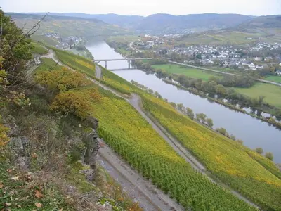 Grundriss der Unterkunft Mühlenhof - Riesling