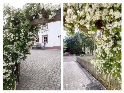 Ein Garten an der Unterkunft By Aenny