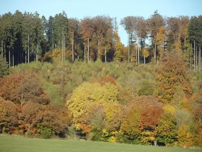 Naturlandschaft in der Nähe der Ferienwohnung