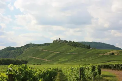 Naturlandschaft in der Nähe der Ferienwohnung