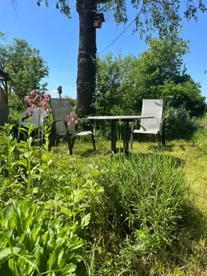Ein Garten an der Unterkunft Zimmer auf dem Scheuerhof