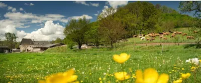 Naturlandschaft in der Nähe des Privatzimmers