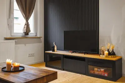 TV/Unterhaltungsangebot in der Unterkunft Vintage Apartment 2 Black am Kurpark von Bad Ems