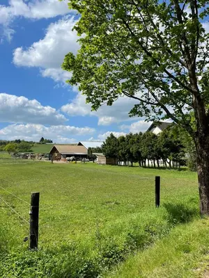 Naturlandschaft in der Nähe der Ferienwohnung