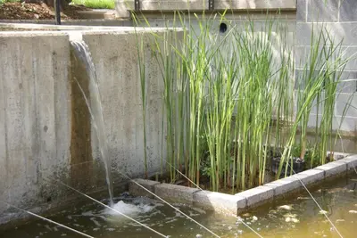Ein Garten an der Unterkunft Arras