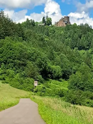 Naturlandschaft in der Nähe der Ferienwohnung
