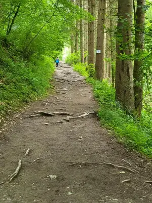 Naturlandschaft in der Nähe der Ferienwohnung