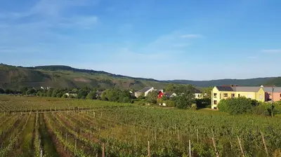 Naturlandschaft in der Nähe der Ferienwohnung