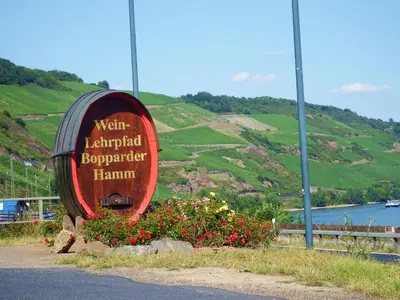 Naturlandschaft in der Nähe der Ferienwohnung