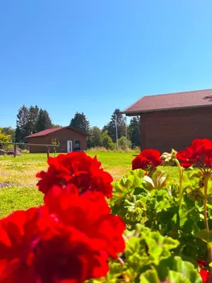 Ein Garten an der Unterkunft Haus Rheinblick