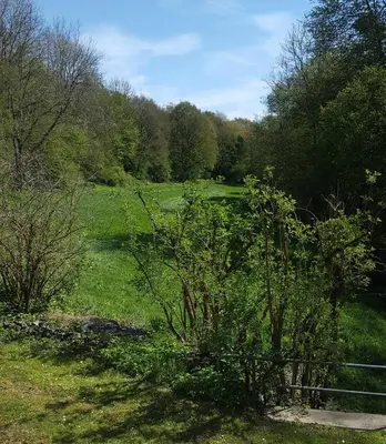 Naturlandschaft in der Nähe der Ferienwohnung