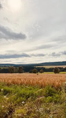 Naturlandschaft in der Nähe der Ferienwohnung