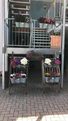 Grundriss der Unterkunft Rheinliebe Bistro und Pension